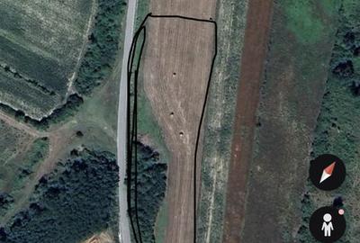 Teren de 4300 mp, în Turnu Ruieni - 2