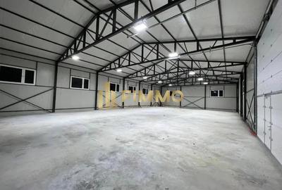 Hala Ipotesti | 400 mp | trifazic 120 kw | 350 mp curte - 5