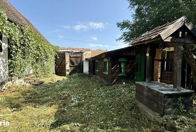 Casă cu 4 camere cu Teren 1300 Mp în Bunești - 3