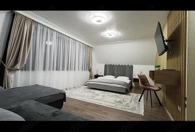Casă cu 9 camere cu Teren 8000 Mp în Bârsana - 3
