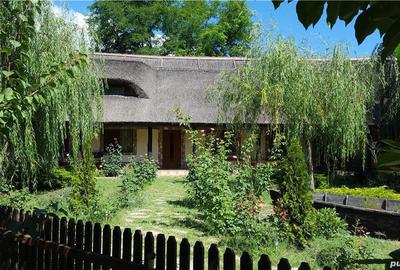 Casă cu 6 camere în Plopul - 8