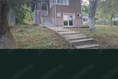 Casă cu Teren 1600 Mp în Ștefănești - 3