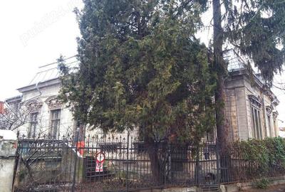 Casă cu 3 camere în Central - 1