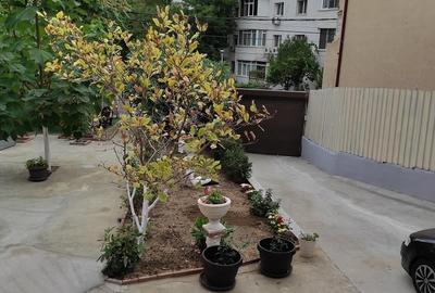 Casa individuala + teren  563mp, zona Dristor - 4