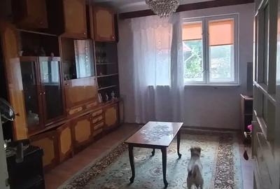 Casa de vanzare satu nou 12km din tg Mure? - 4