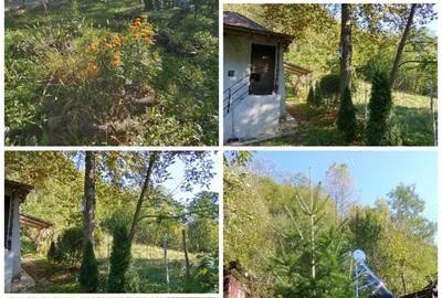 Vand casa de vacanta in Prahova Vand casa de vacanta in Prahova - 9