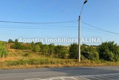 Teren de 9573 mp, în Sântuhalm - 2