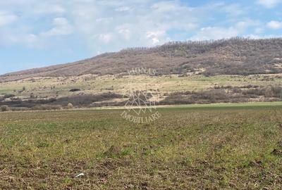Teren Construcții intravilan de 3750 mp, în Podirei - 1