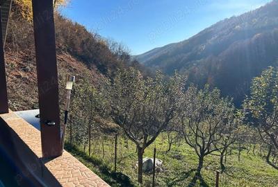 Casă cu 1 camere cu Teren 37500 Mp în Poderei - 4