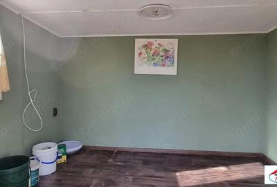 Teren de 1996 mp, în Viile Satu Mare - 9