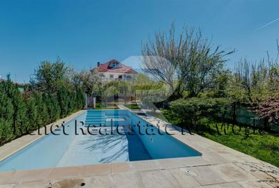 O Poveste de Vis pe Malul Lacului Snagov - 48