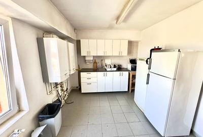 Spatiu 500mp | 2 corpuri alaturate | Curte | Lift exterior marfa | Centrale - 8