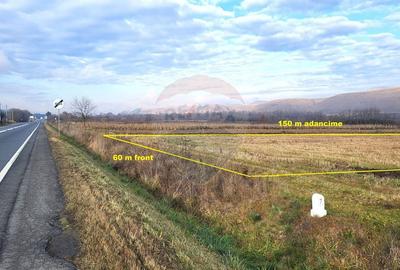 Teren Construcții intravilan de 9000 mp, în Gilău - 5