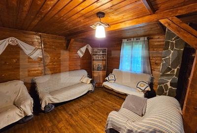 Casa de vacanta cu 4 camere,3300 mp teren,Valisoara - 10