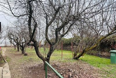 Casă cu 3 camere în Brănești - 7