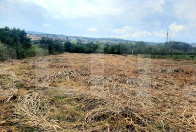 Teren de 2506 mp, în Borhanci - 2