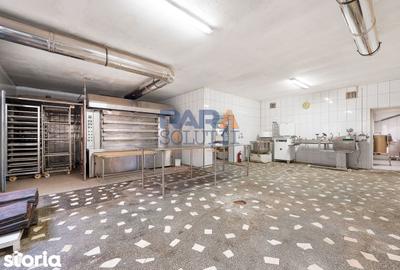 Spațiu comercial, de 380 mp, în Cordun - 11