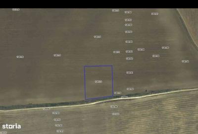 Teren intravilan – 8.500 m² – Valu lui Traian (str. București, partea stângă) - 2