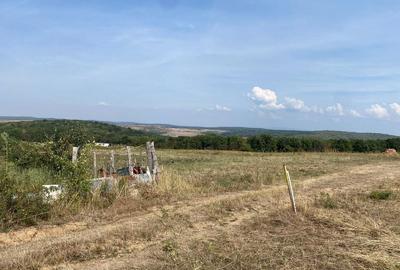 Spațiu comercial, în Săldăbagiu de Munte - 1