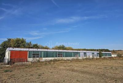 Hala industriala (1000 mp) si teren (4000 mp), Scornicesti, - 3