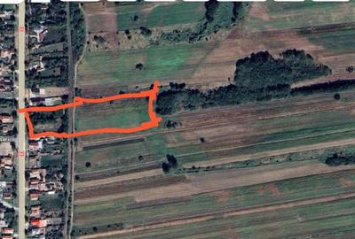 Casă individuală cu 2 camere cu Teren 300 Mp în Fișcălia - 4