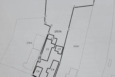 Casa teren ROSIORII DE VEDE Spatiu Comercial - 9