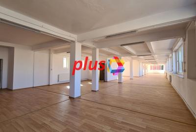 Spatiu comercial - 450 mp - 3