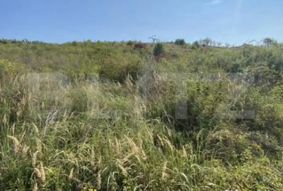 Teren de 3800 mp, în Crișeni - 4