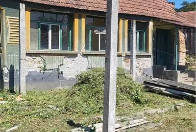 Casă cu 2 camere în Rapolțel