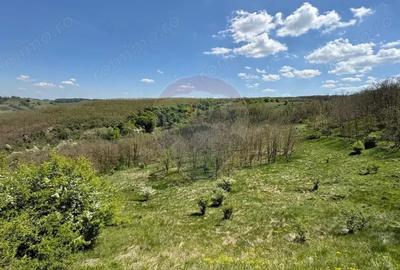 Teren de 659000 mp, în Copșa Mică - 9