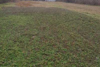 Casă cu 5 camere în Ceatalchioi