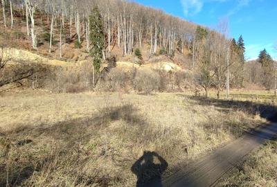 Spațiu comercial, în Timișu de Jos - 4