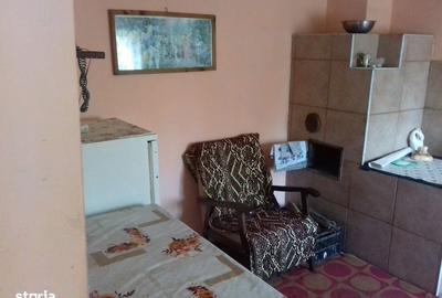 Casă cu 5 camere cu Teren 2800 Mp în Dochia - 5