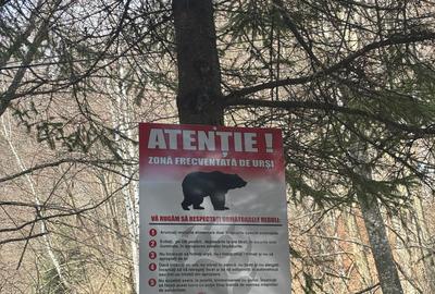 Teren agricol extravilan de 39.5 mp, în Măneciu - 12