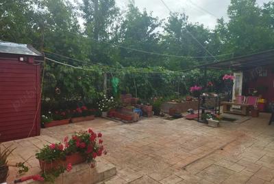 Vanzare vila P+1+M centru Otopeni Vanzare vila P+1+M centru Otopeni - 3