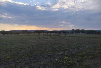 Teren de 620 mp, în Oșorhei