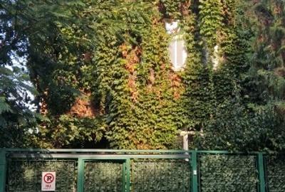 Nu inchiriezi o casa, ci iti alegi un acasa! - 1