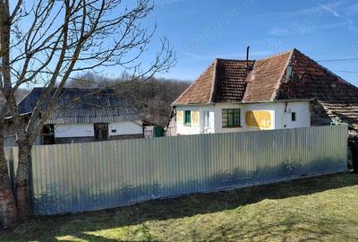 Casă cu Teren 6580 Mp în Zece Hotare - 7