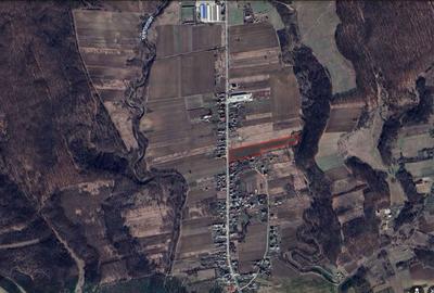 Teren de 13383 mp, în Broșteni - 2