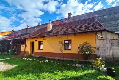 Casa individuala cocheta, 1 dormitor, renovata, Str. Lunga - Central Casa individuala cocheta, 1 dormitor, renovata, Str. Lunga - Central - 14