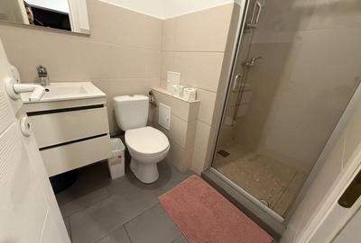 Apartament cu 2 camere decomandat, mobilat în Aradului - 10