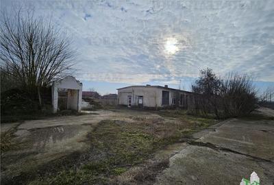 Teren de 28000 mp, în Hârșova - 1