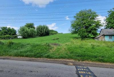 Teren intravilan Petia - 4