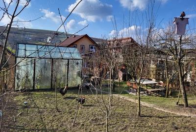 Casă cu 3 camere în Zau de Câmpie - 10