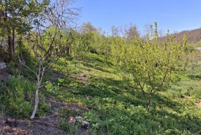 Casă de vânzare în Racoasa – 40 mp + teren 1.400 mp - 5