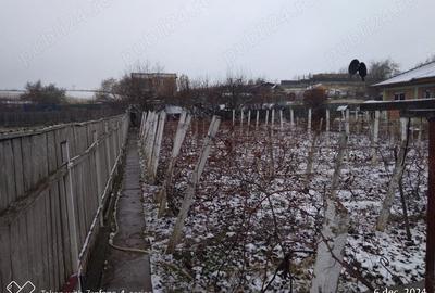 Casă cu 3 camere cu Teren 1000 Mp în Central - 5