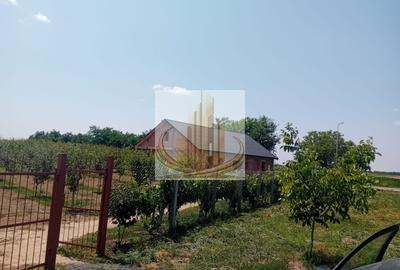 Teren agricol intravilan de 16000 mp, în Belinț - 18