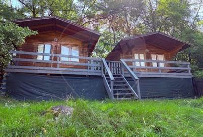 Ansamblu de 7 Căsuțe de Vacanță, Ocna Șugatag - 5