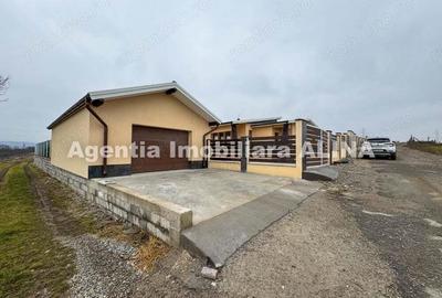 Casa 4 camere pe un singur nivel si teren 1586mp in Satul Cristur (sat apartinator Orasului Deva). - 19