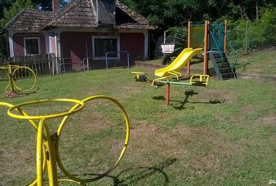 Casă cu Teren 6500 Mp în Șimian - 4